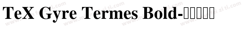 TeX Gyre Termes Bold字体转换